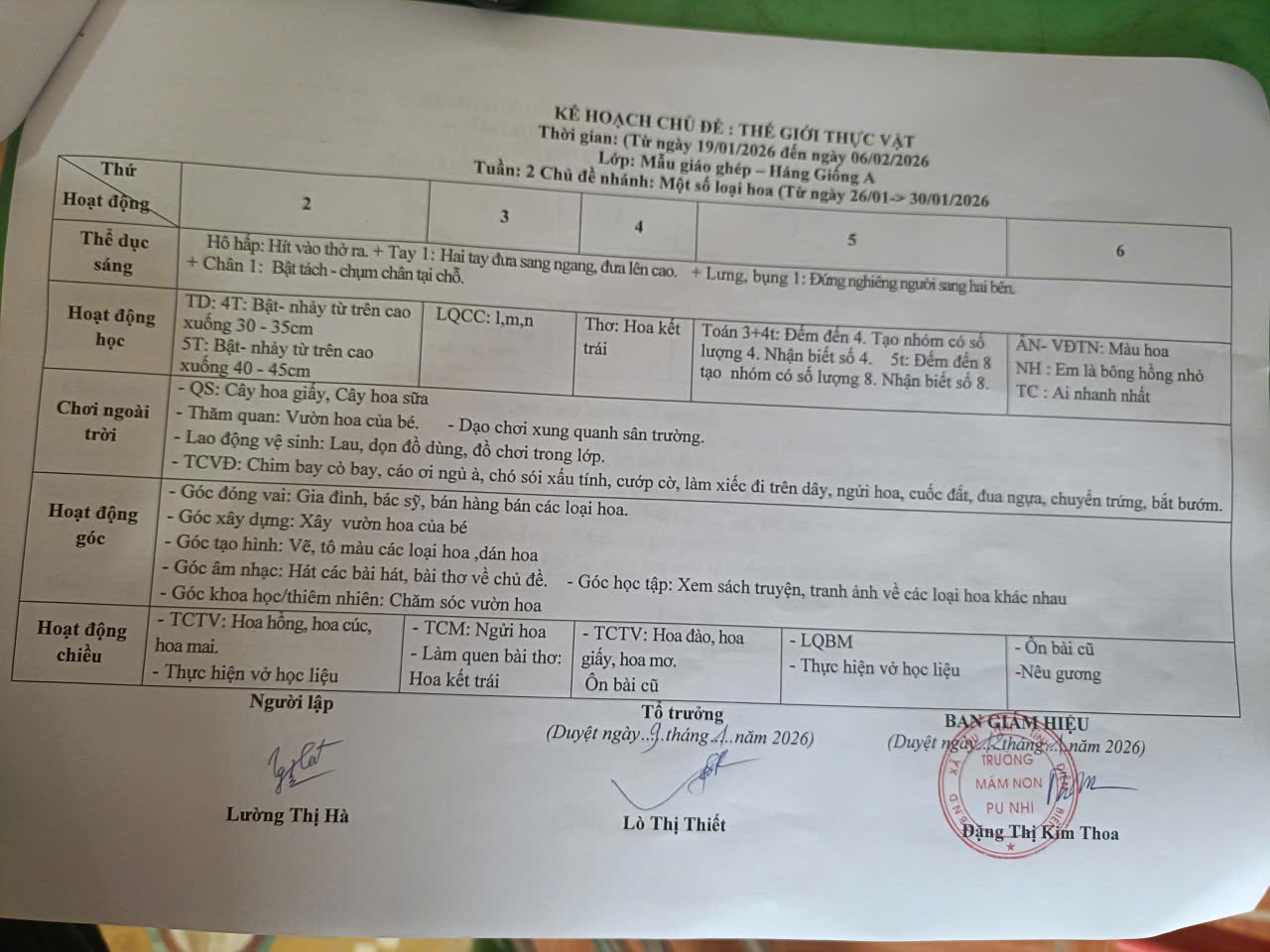 CHỦ ĐỀ THẾ GIỚI THỰC VẬT LỚP MẪU GIÁO GHÉP 3,4,5 tuổi2