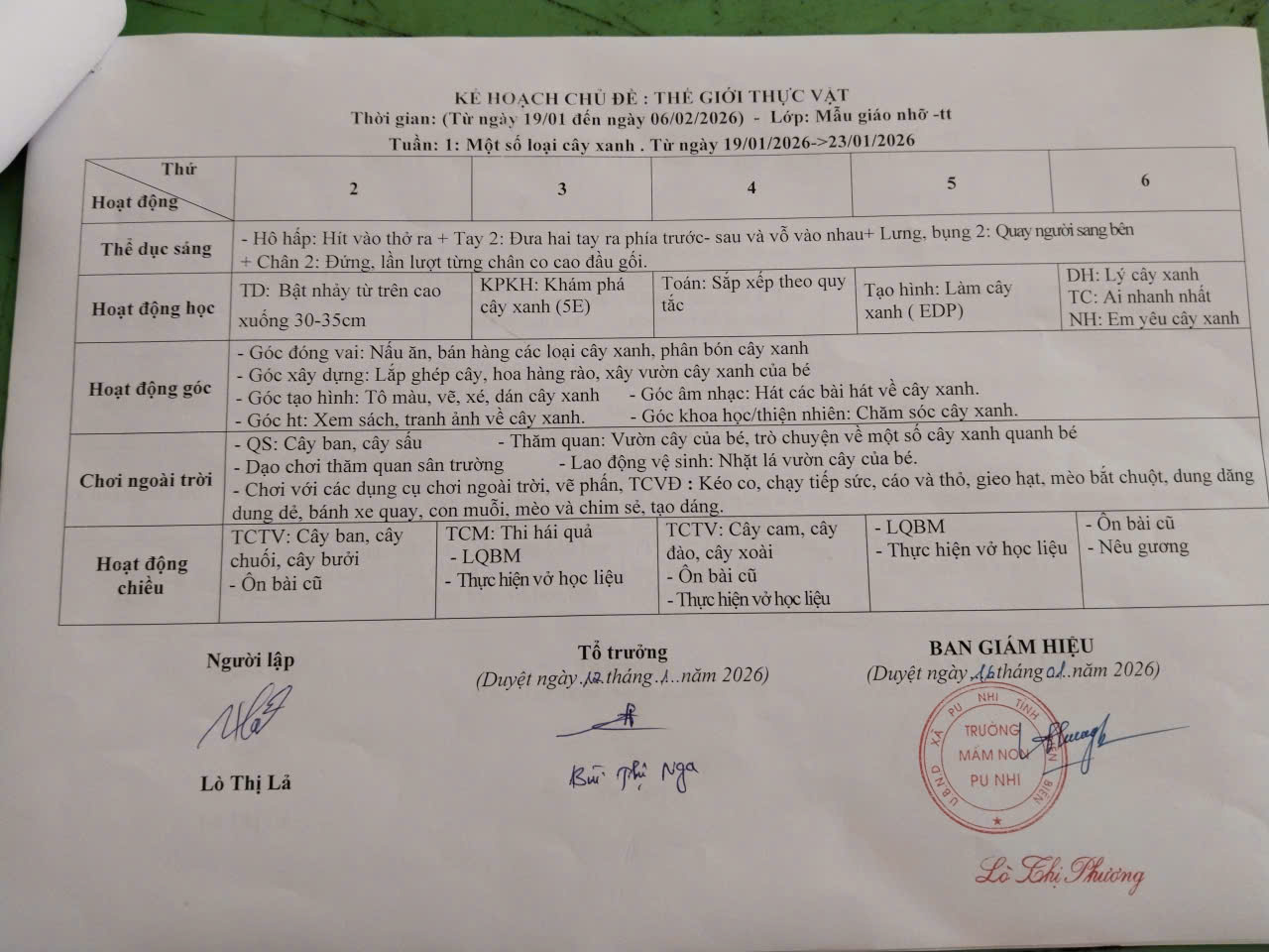 Chủ đề thế giới thực vật1