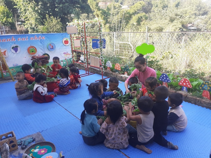 Hoạt động chuyên môn